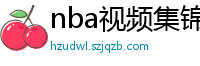 nba视频集锦